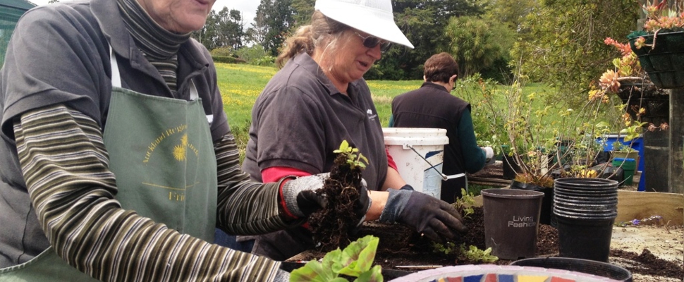 The Growing Friends potting up plants to sell.