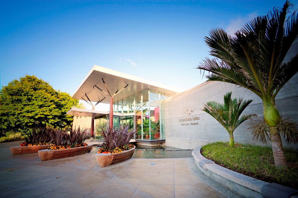 Image shows the front entrance of Huakaiwaka, the Auckland Botanic Garden's visitor centre, against a deep blue sky. Two nikau palms stand in the foreground and planter boxes sprout with maroon coloured flax and yellow and orange flowers.