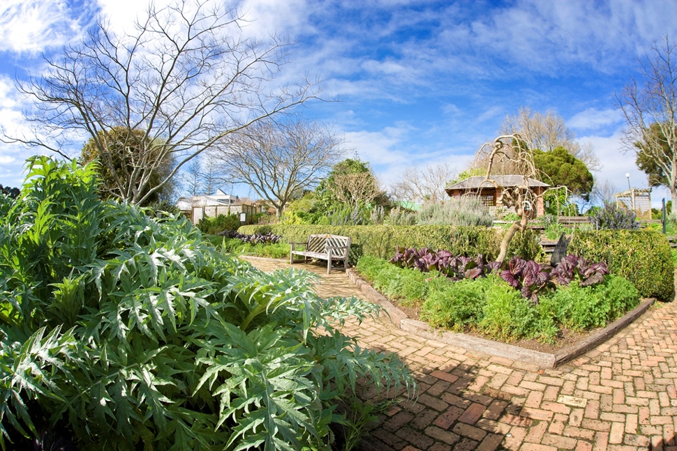 Herb Garden