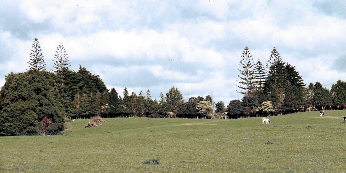 1972.  Auckland Botanic Gardens site.