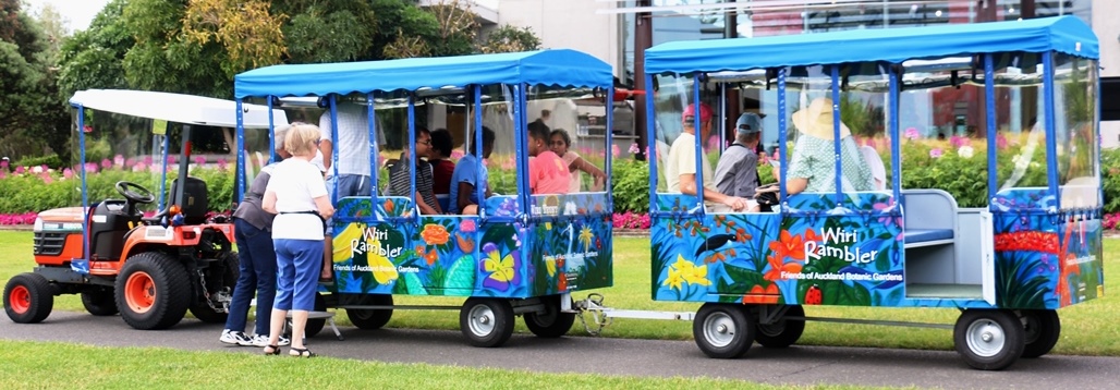 Auckland Botanic's garden tour vehicle, the 'Wiri Rambler' waits to load passengers in front of the visitor centre. The Rambler consists of a small tractor engine pulling two blue carriages painted with bright flowers and covered by a canopy
