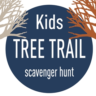 Tree Trail Scavenger Hunt image