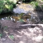 Picture of stream bank needing