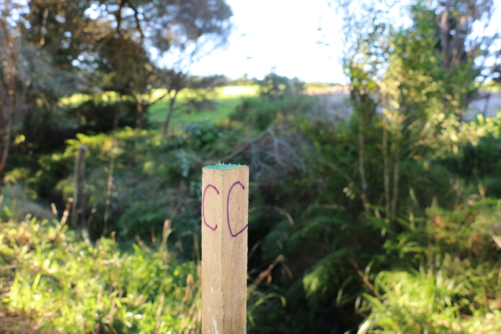 Site marker for planting