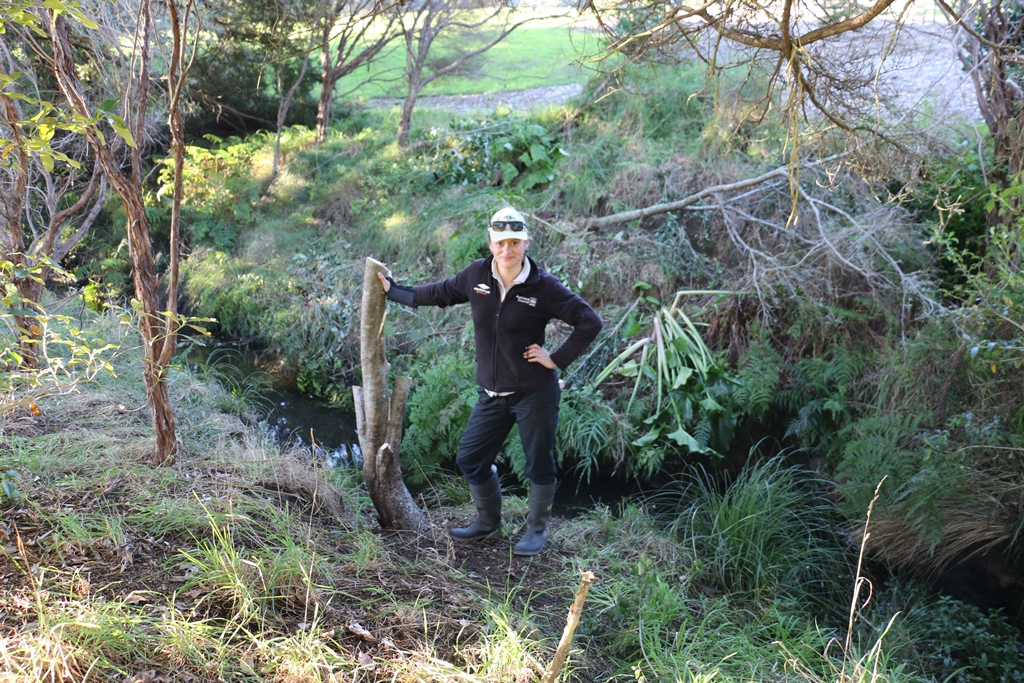 Just removed a massive tree privet