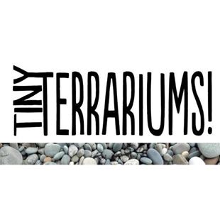 Tiny terrariums