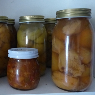 Preserving your kai (preserving your food) image