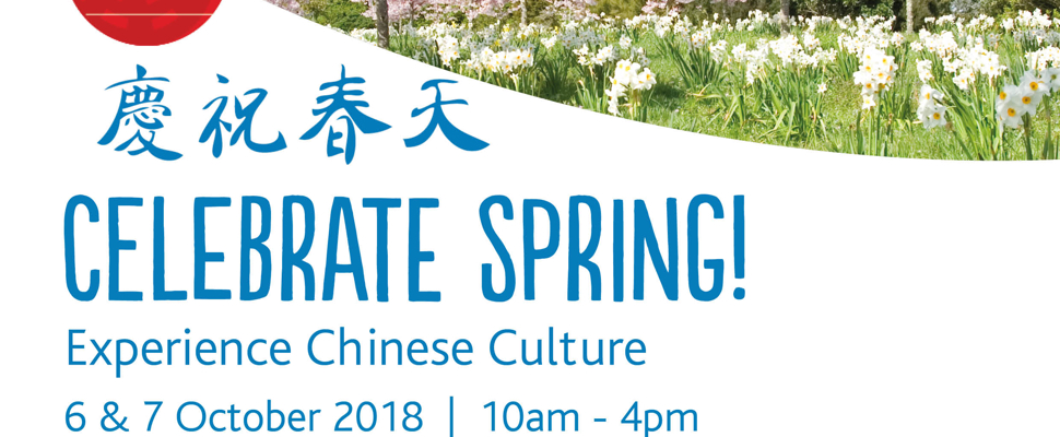 Cherry trees with pink blossoms in a meadow of daffodils. Text reads Celebrate Spring! Experience Chinese Culture, 6 and 7 October 2018, 10am to 4pm.