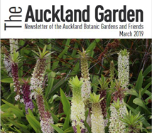March 2019 Newsletter cover thumbnail