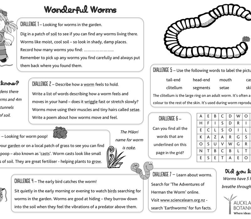 wonderful worms activity sheet