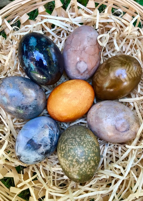 Natural dyed eggs