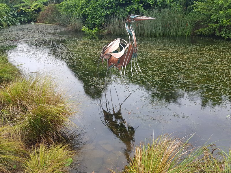 The image shows a sculptural work of a large, graceful heron made from copper and steel. It stands in the water, its head raised slightly. It looks as it if it is about to take a step and search for food in the Auckland Botanic Garden lake. The work is by artist Glen Colechin and appeared in the summer 2021/22 Sculpture in the Gardens exhibition.