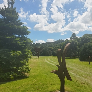 We are looking north to the Gondwana Arboretum where ancient trees from the old supercontinent of Gondwana are slowly growing to their giant size. In the distance the sky is blue with drifts of clouds while in the foreground is a piece of scultpure of a brown bird like form in corteen steel.