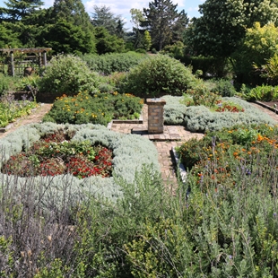 Drop and Learn: Herb Garden – A Sensory Delight image