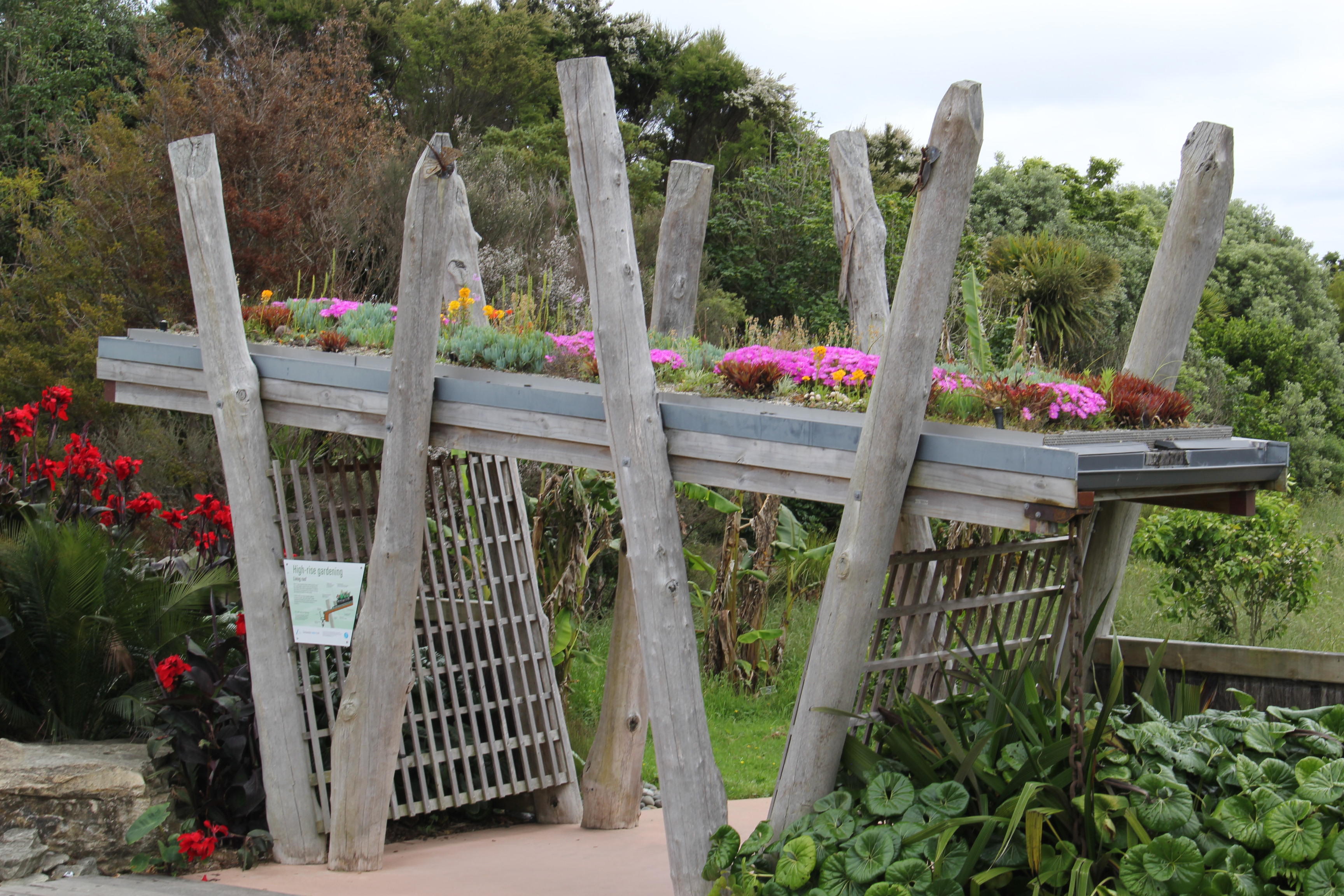 Succulent Living roof  (2).JPG