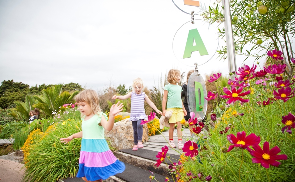 Flowers everywhere in the Potter Children's Garden meadow