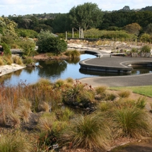 Threatened Native Plant Garden