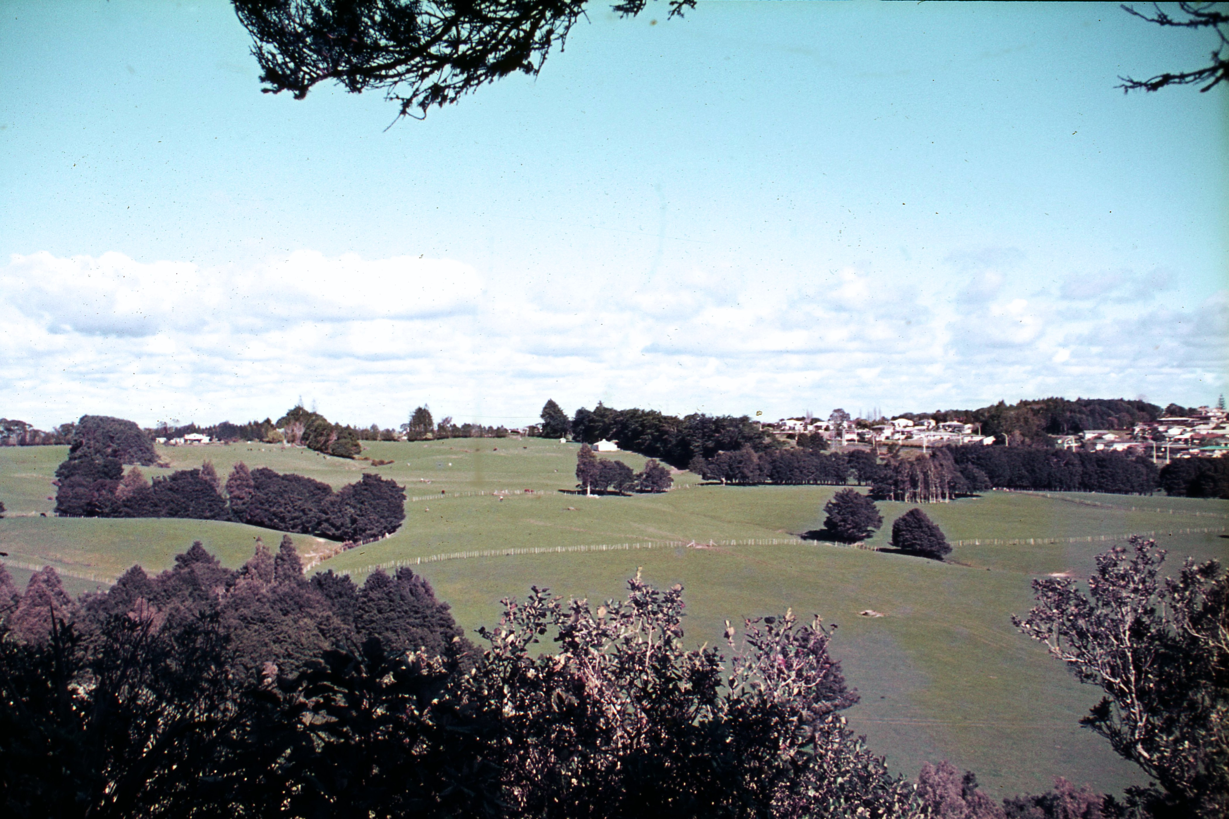 1973. Auckland Botanic Gardens site.