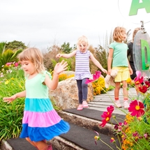 Potter Children's Garden at Auckland Botanic Gardens
