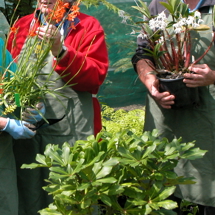 Growing Friends plant sales