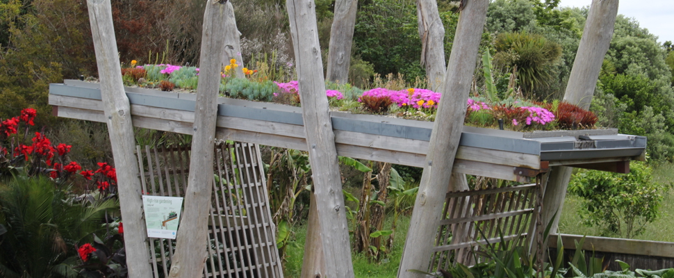A living roof in the Potter Children's Garden - featuring succulents