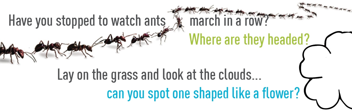 Have you stopped to watch ants march in a row?... where are they headed? When was the last time you lay on the grass to look at the clouds? Can you find one shaped like a flower?