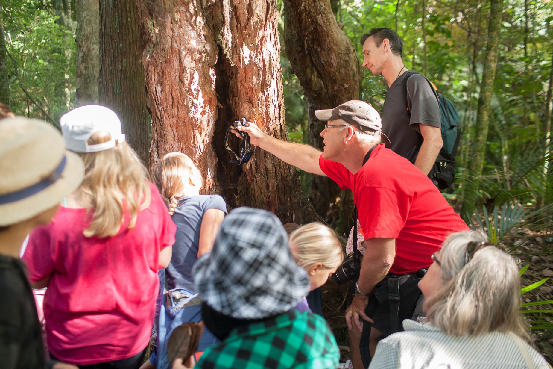 Exploring the native forest with Ruud Kleinpaste