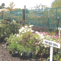 Growing Friends volunteers at our weekly plant sales