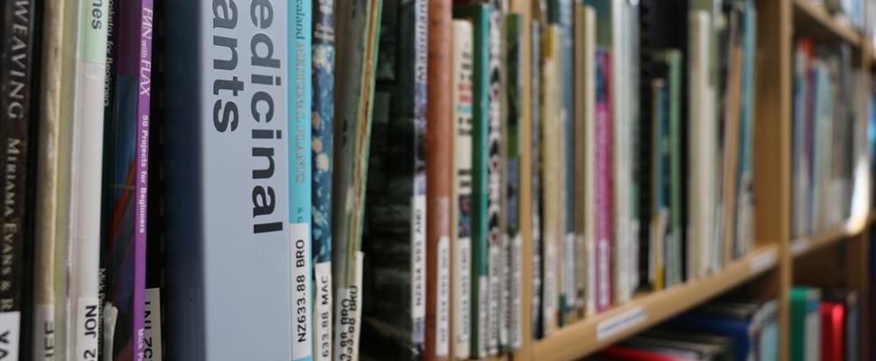 Image of library books