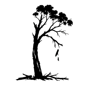 Notice of gum tree removal on our Central Lawn image