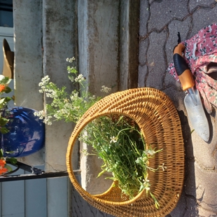 Dreams and Inspiration: a herbal garden planning session image