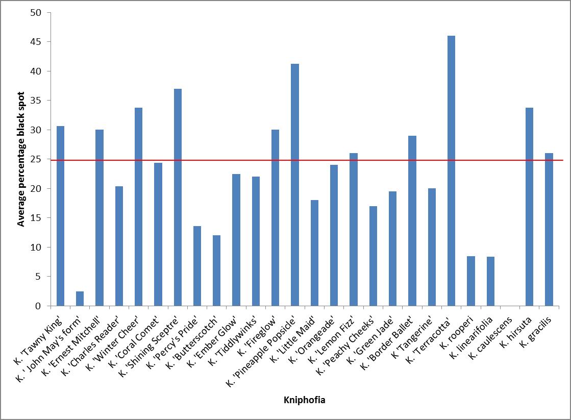 Black ink spot graph Kniphofia trial