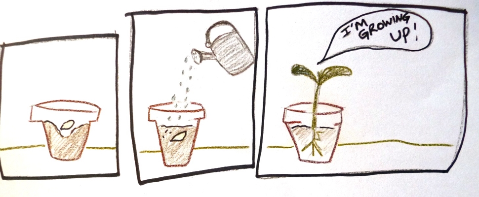 Cartoon image of a plant growing from a seed