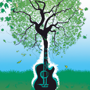 Sunday music at the Huakaiwaka visitor centre image