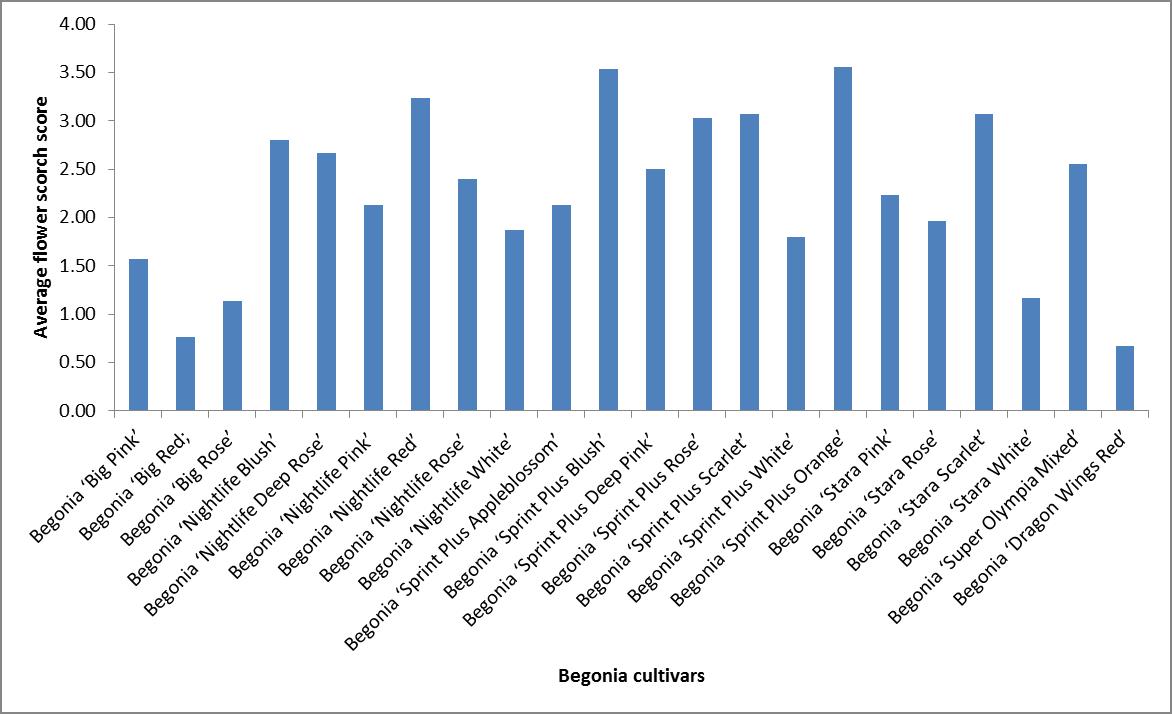 Fig 1 Average flower scorch score during trial