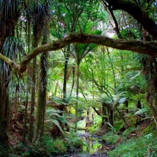 Weather Warning image