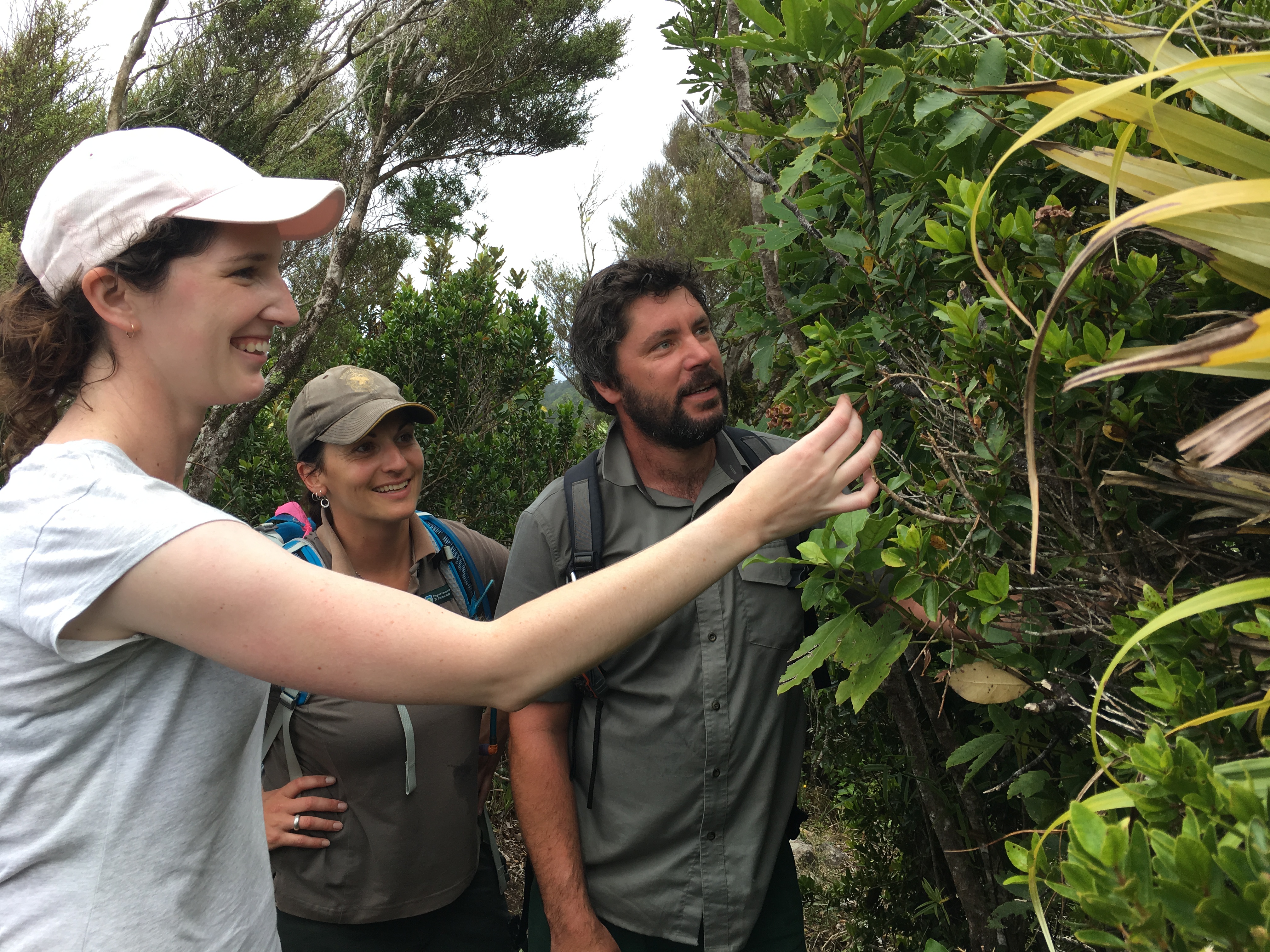 Department of Conservation and Botanic Gardens staff on Great Barrier