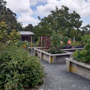 Prepare Your Edible Garden for a Successful Summer Harvest image