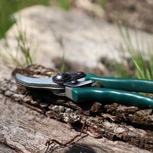 Tool sharpening basics for secateurs and spades image