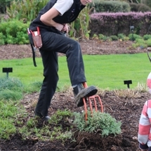 Dividing plants image