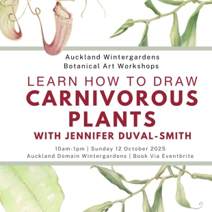Carnivorous Plants - Botanical Art Workshop image