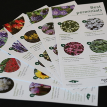 Plants for Auckland brochures image