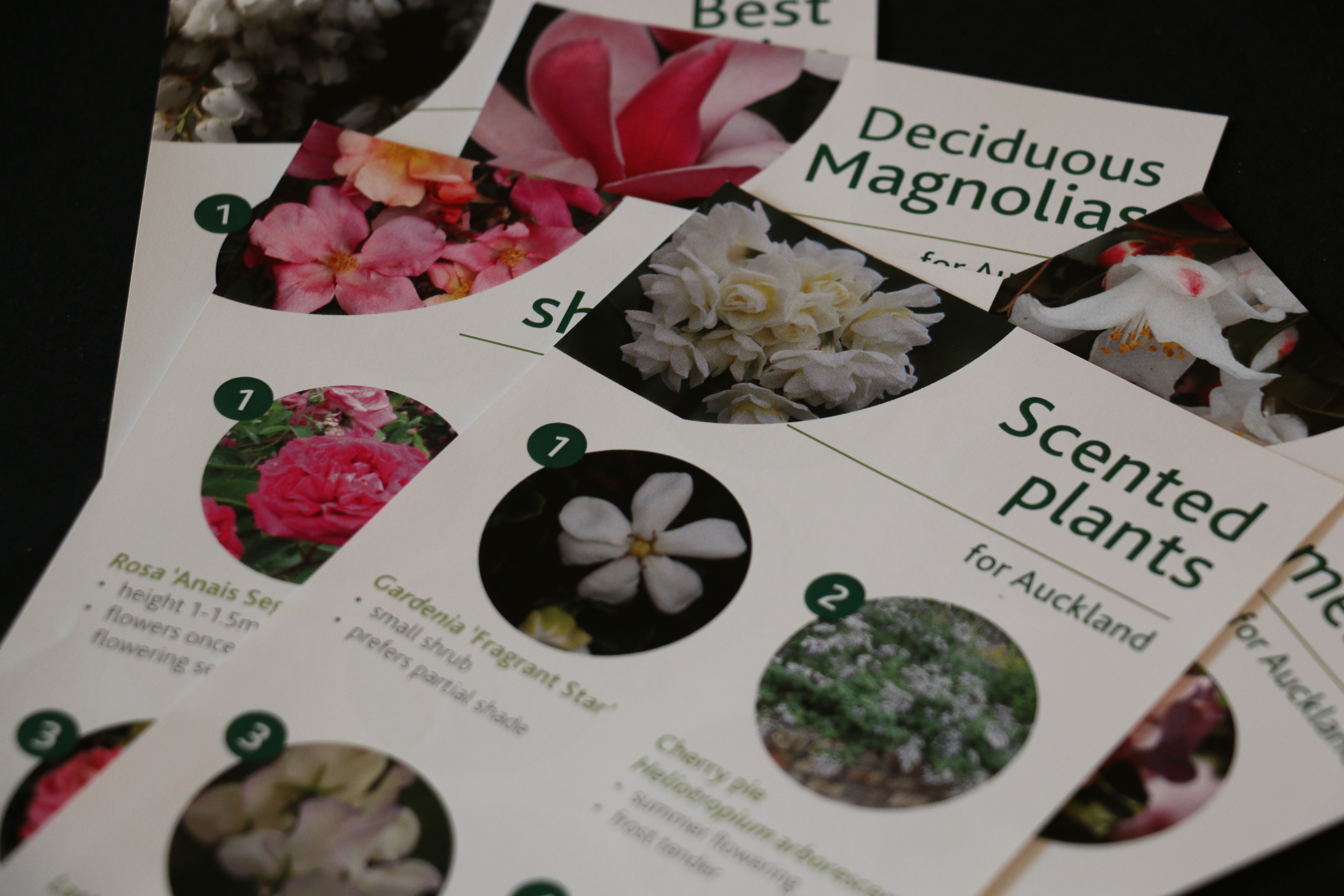 Scented plants image