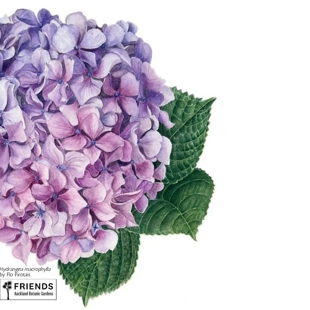 Spring into Summer image