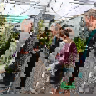 Meeting rare native plants at the Gardens image