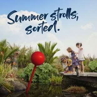 Summer, sorted image
