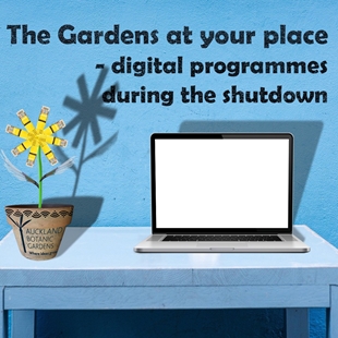 Live online: garden programmes during lockdown image