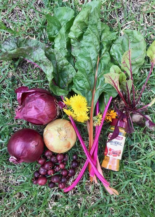 Natural dye ingredients