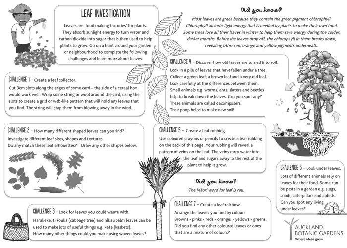 Leaf investigation sheet