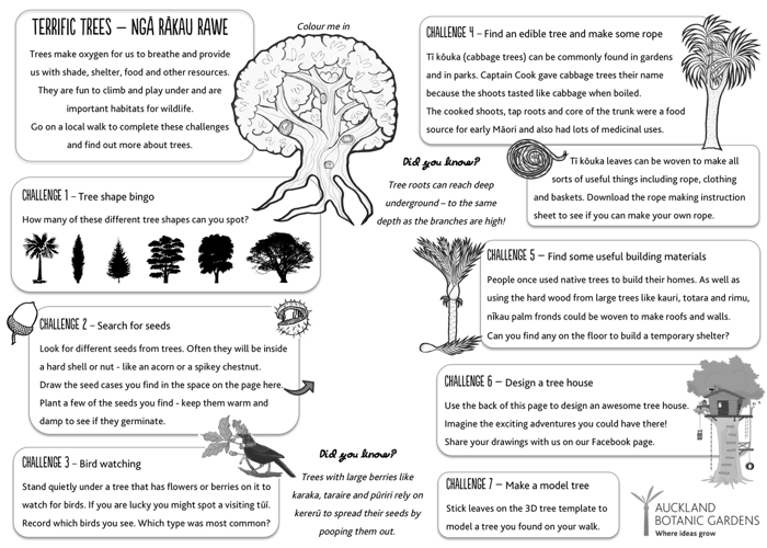 Terrific trees jpeg activity sheet